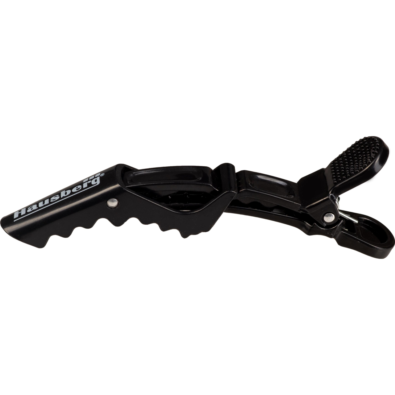 Perie pentru par Hausberg HB-19 cu 6 accesorii, 1000W, 360C