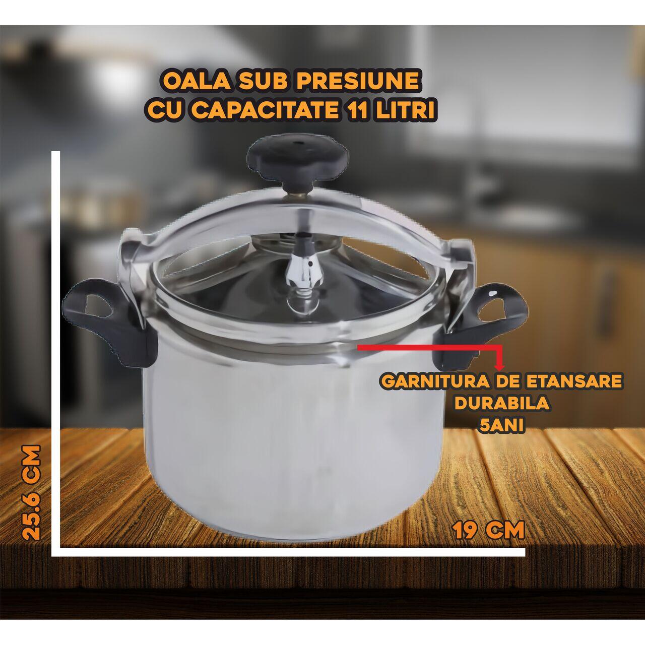 Oala sub presiune HAUSBERG HB-H314 ,capacitate 11L