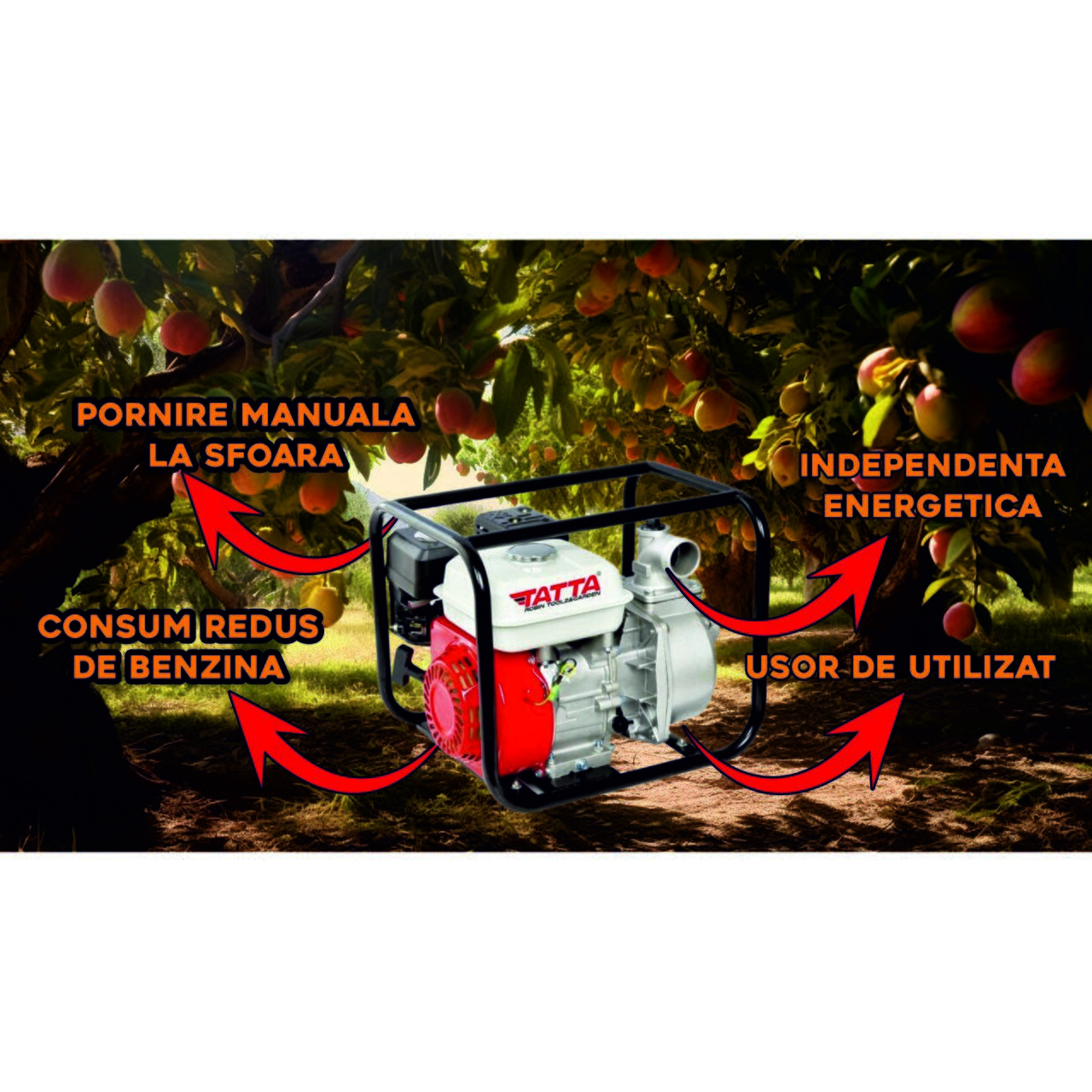 Motopompa apa curata Tatta TT-PA306, 6.5 CP, 26 m³/h debit apa, 2" prindere furtun, 26 m inaltime refulare, 6 m adancime absorbtie, 4 l, benzina, Greutate 22,5kg